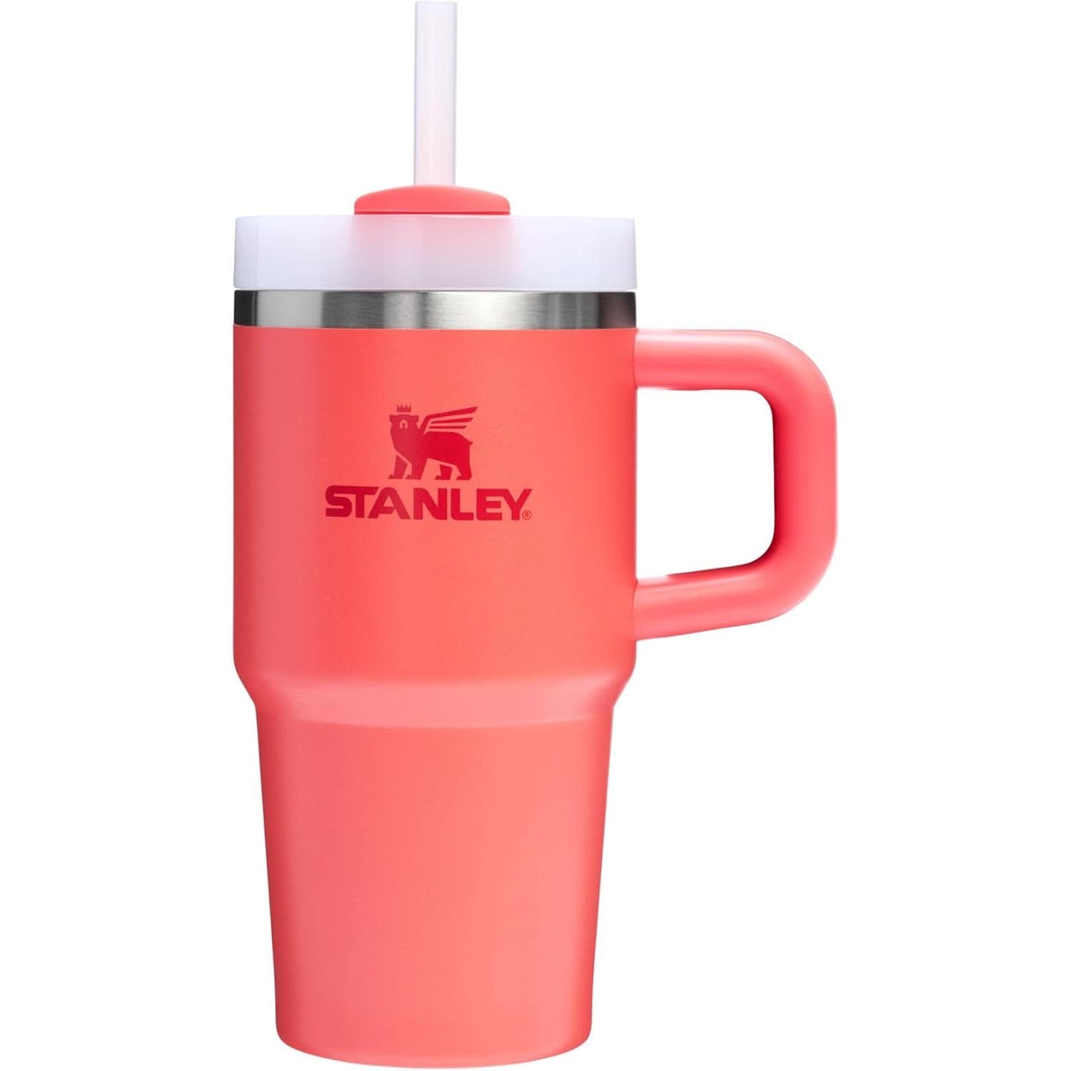 Quencher H2.0 Tumbler with Handle and Straw 20 Oz | Flowstate 3-Position Lid | Cup Holder Compatible for Travel | Insulated Stainless Steel Cup | Bpa-Free | Frost